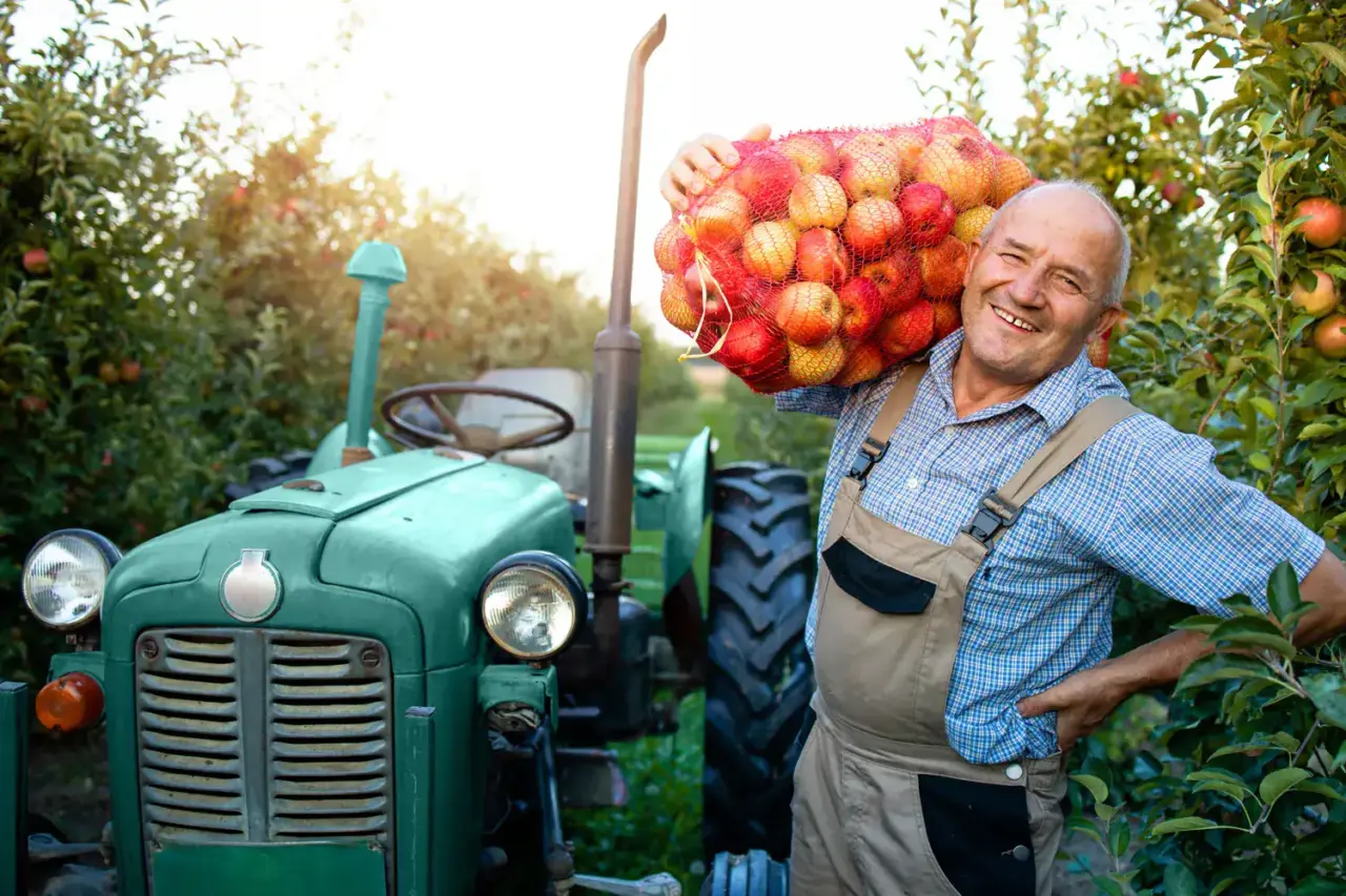 Lächelnder Bauer mit einem Sack frisch geernteter Äpfel neben einem Traktor